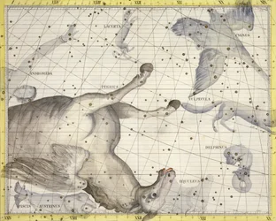 Constellation de Pégase, planche 25 de 